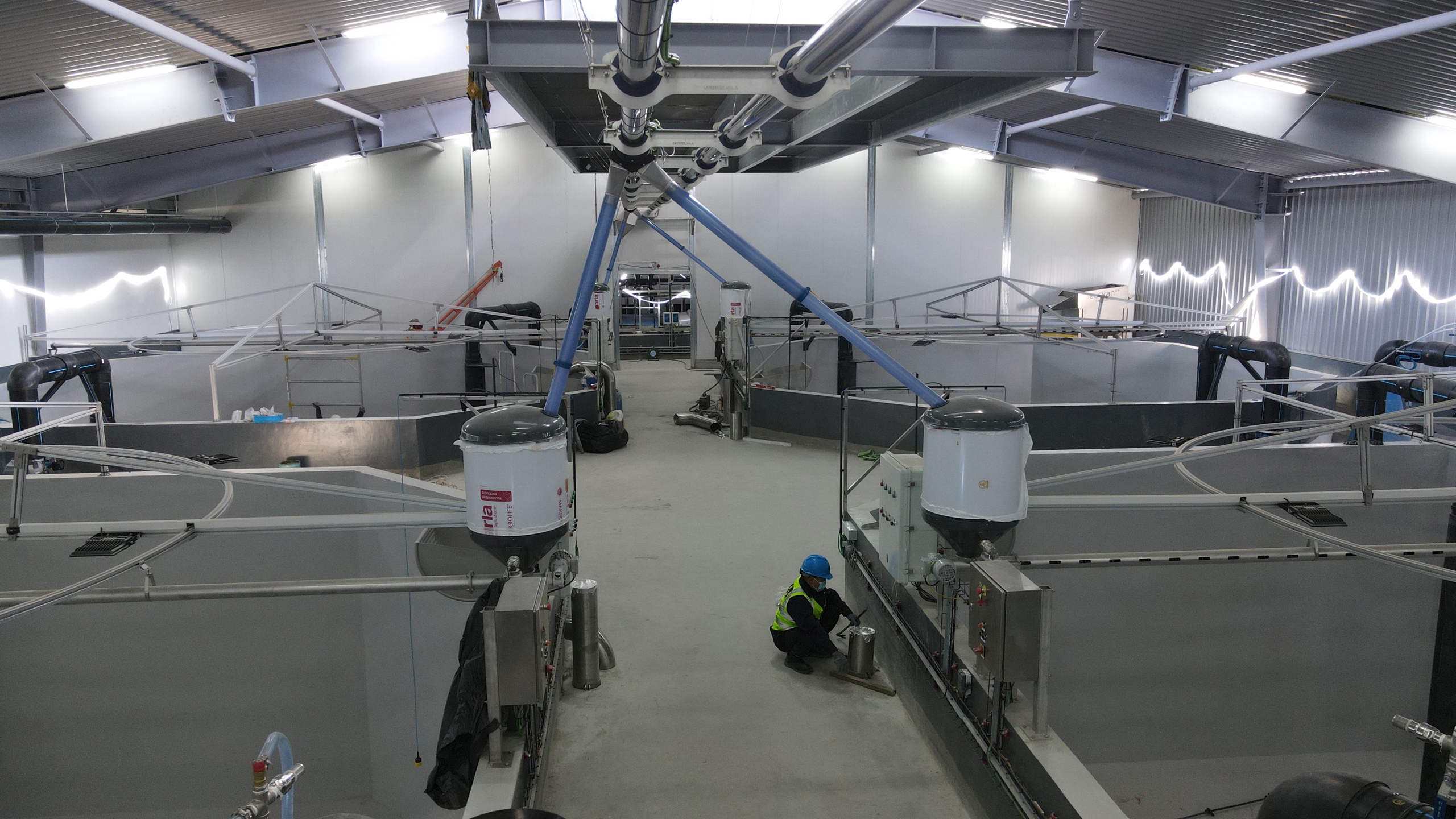 RAS4 almost ready for fish introduction