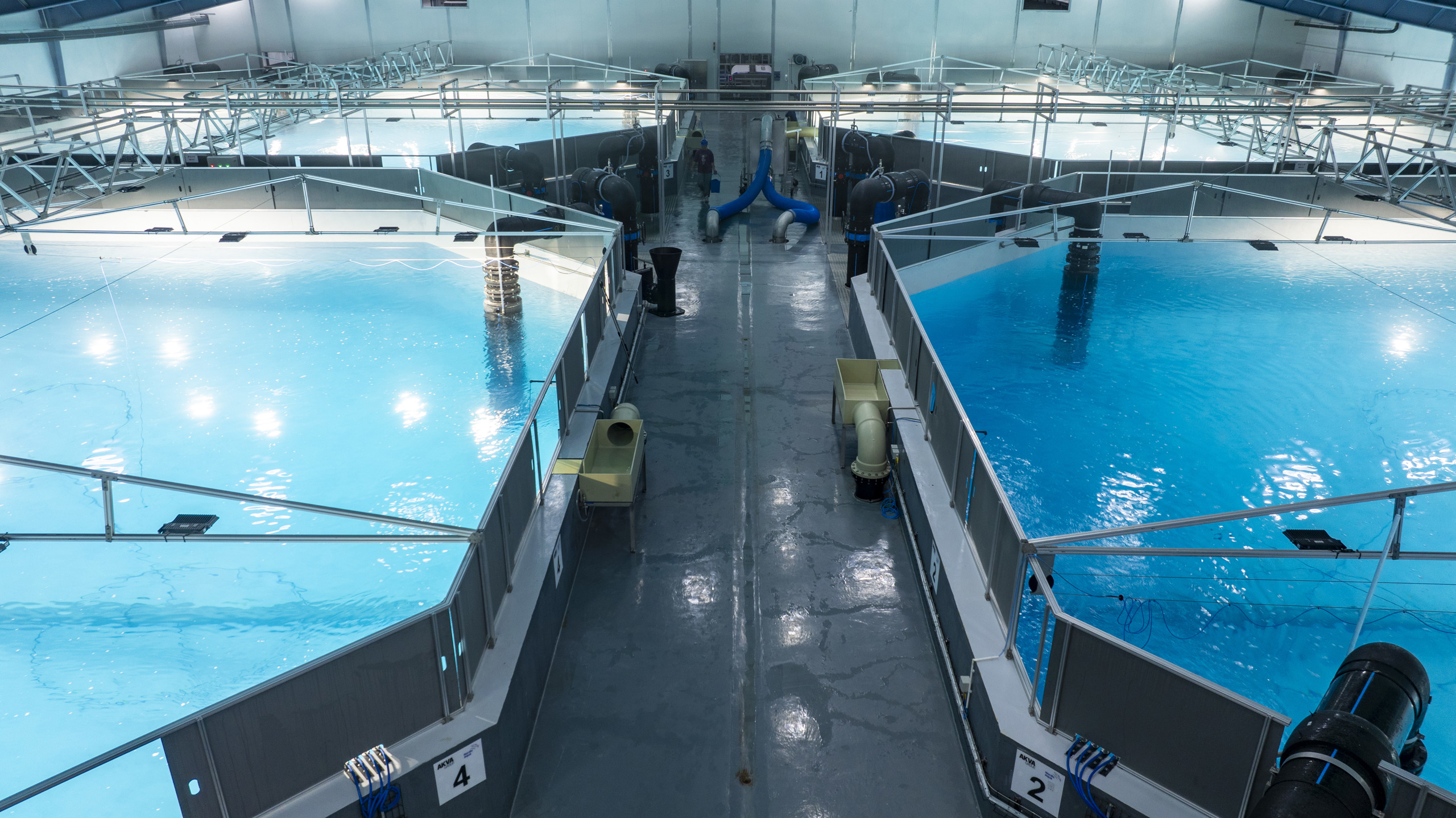 Tanks in the first grow-out RAS-unit of Stage 2