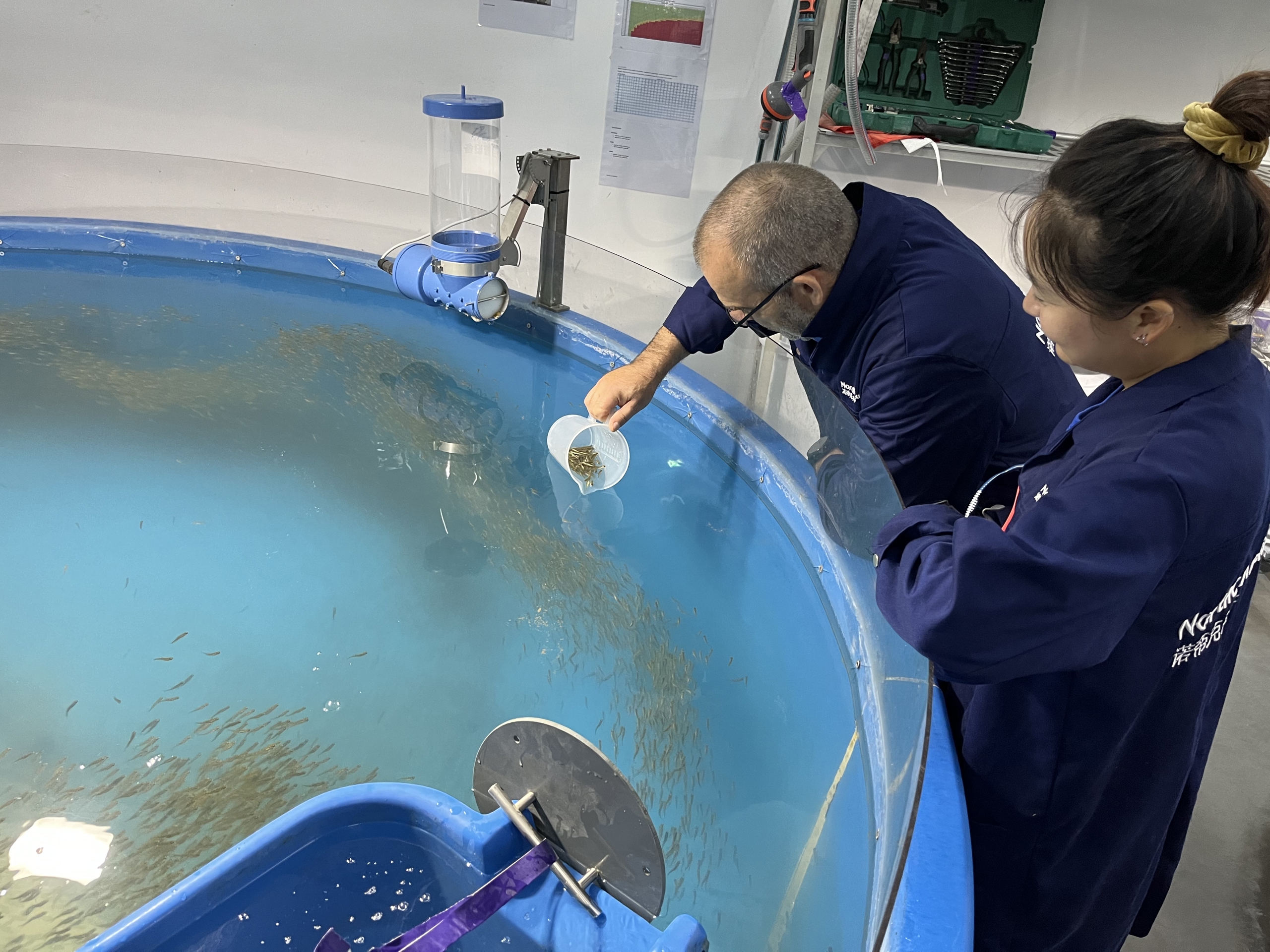 Bergur inspecting frys