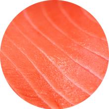 Circled Close Up Salmon