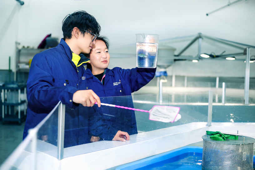 Xiaoxiao and Seashore taking good care of our small fish