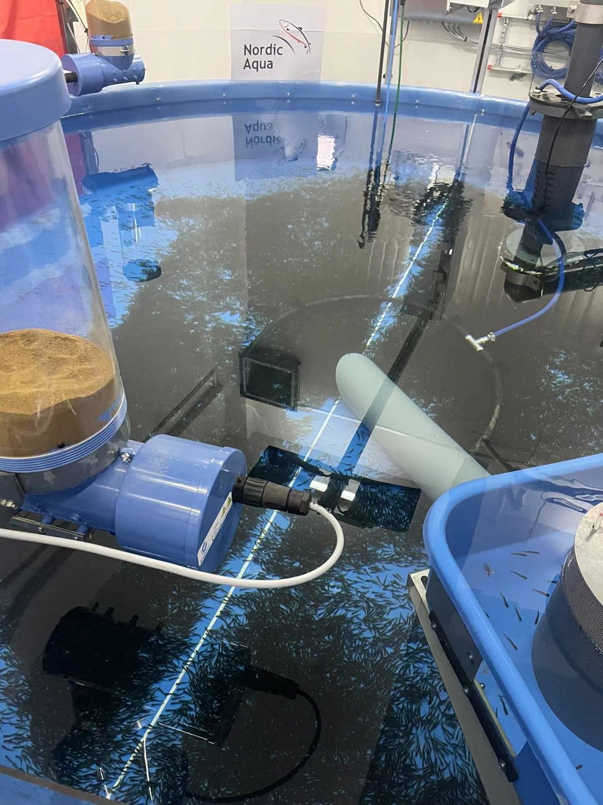 Start feeding in RAS 1