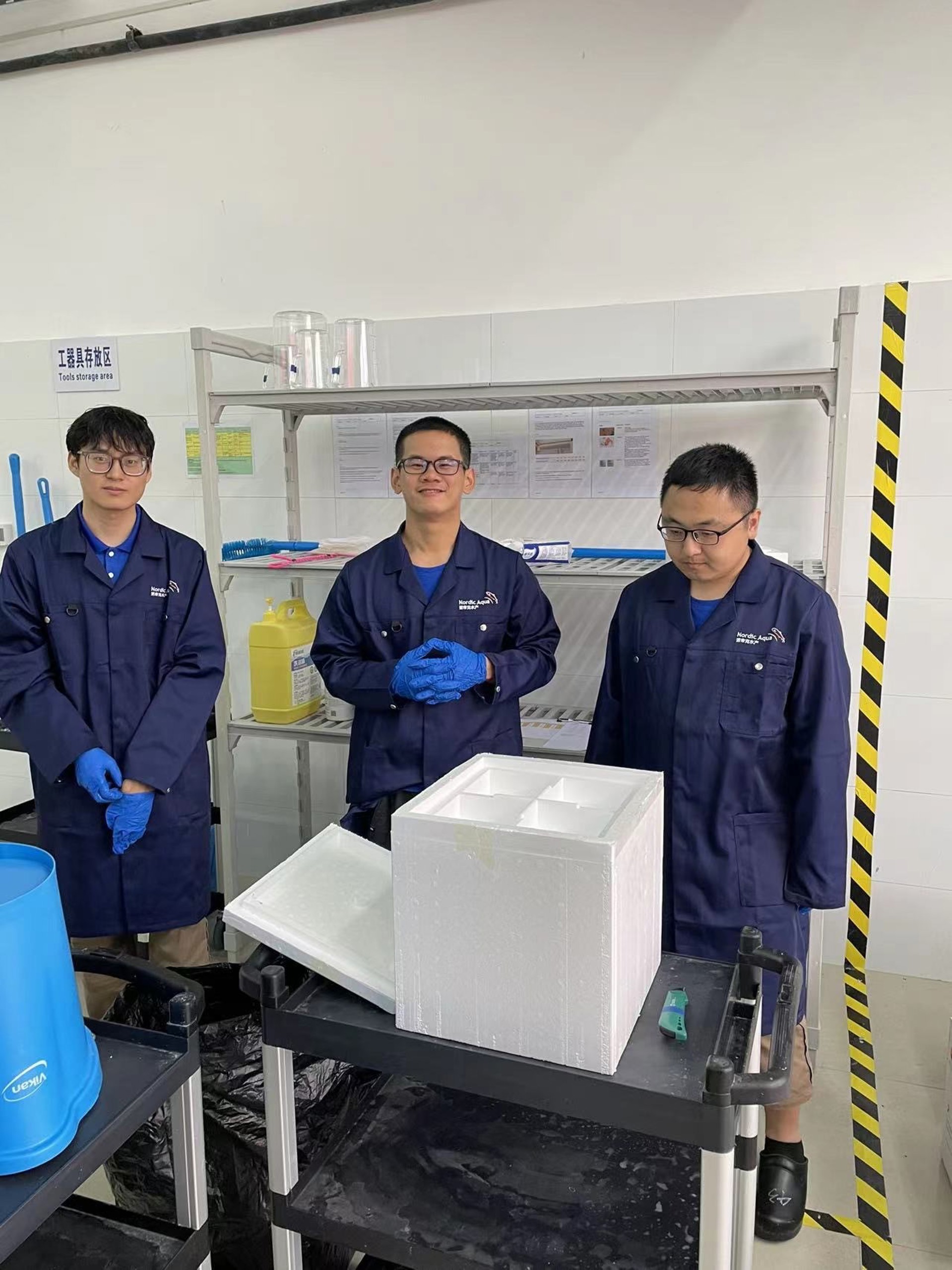 Second Inlay of eggs successfully completed