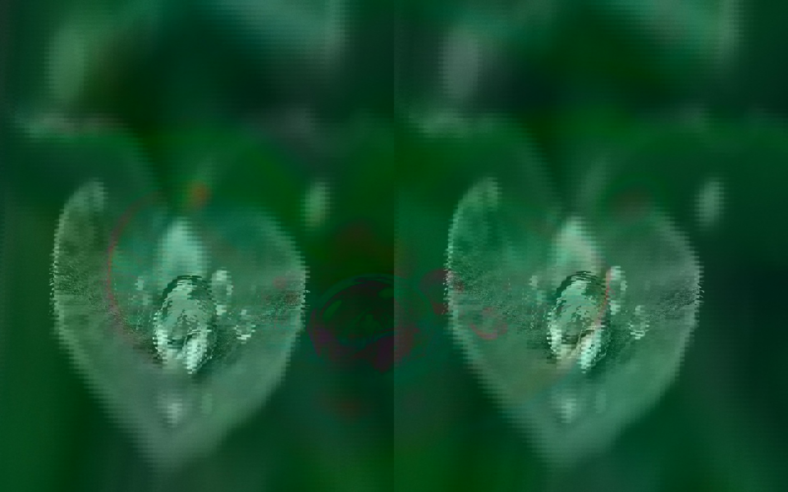 Leafdroplet